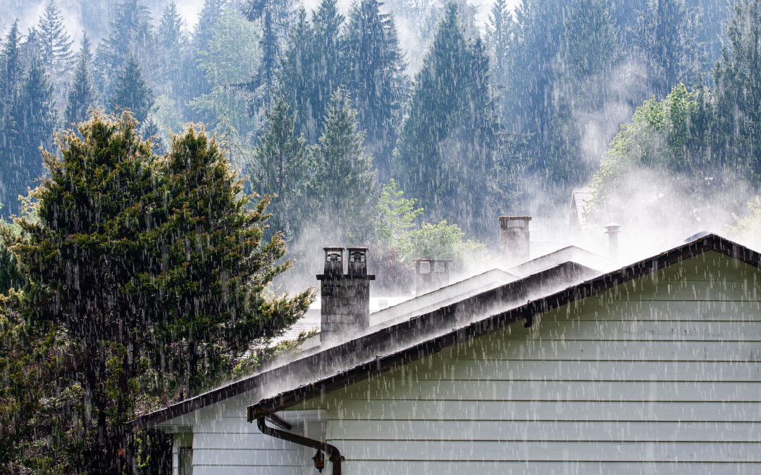 Surviving Chilliwack's Rainy Season: Tips for Maintaining Your Roof