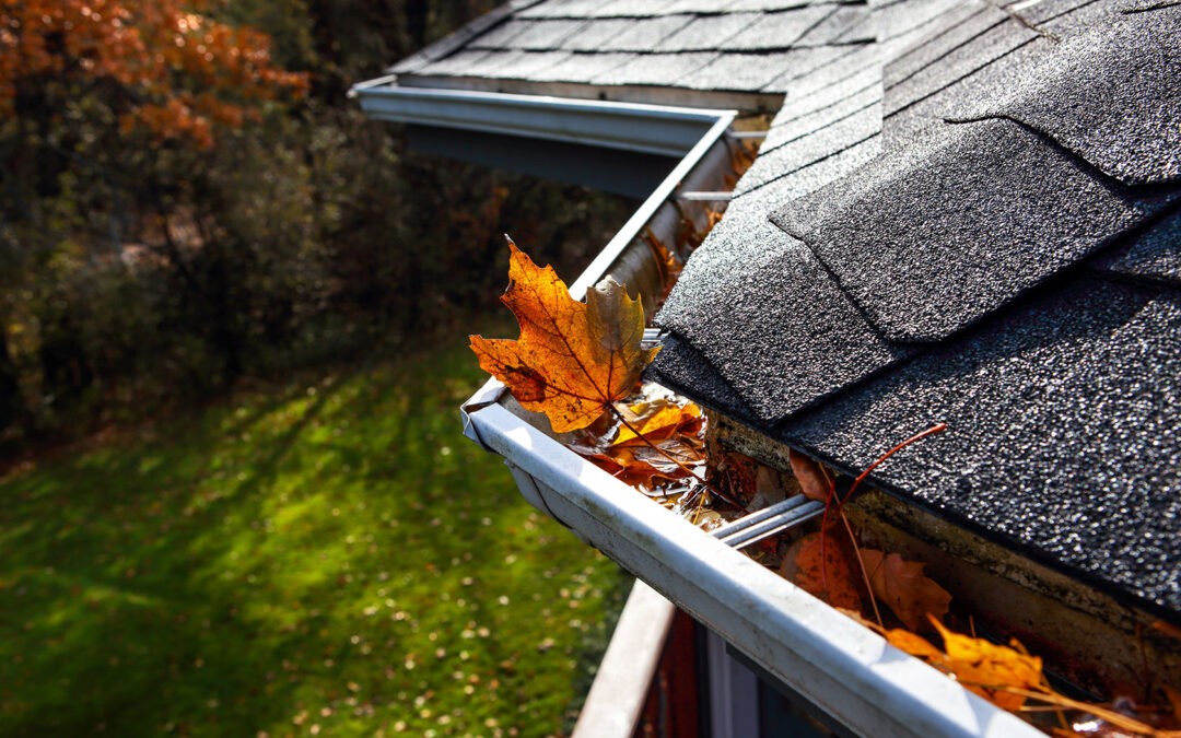 Chilliwack's Autumn Season: A Fall Guide for Roofing & Siding