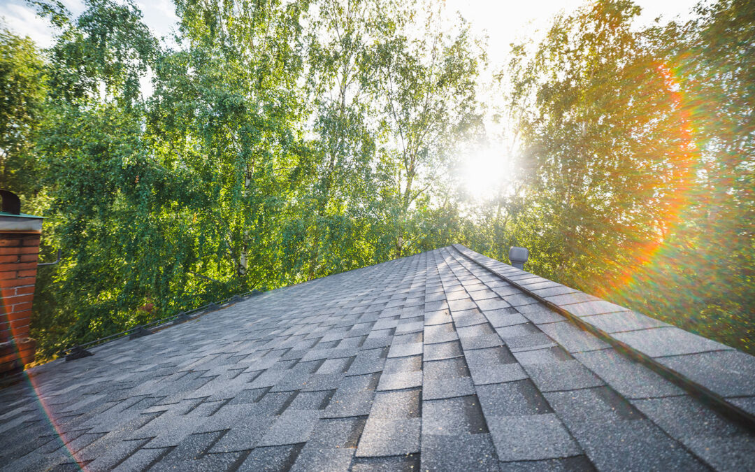 Maximizing Home Comfort and Efficiency: Advanced Roofing and Siding Upgrades for Chilliwack Homes