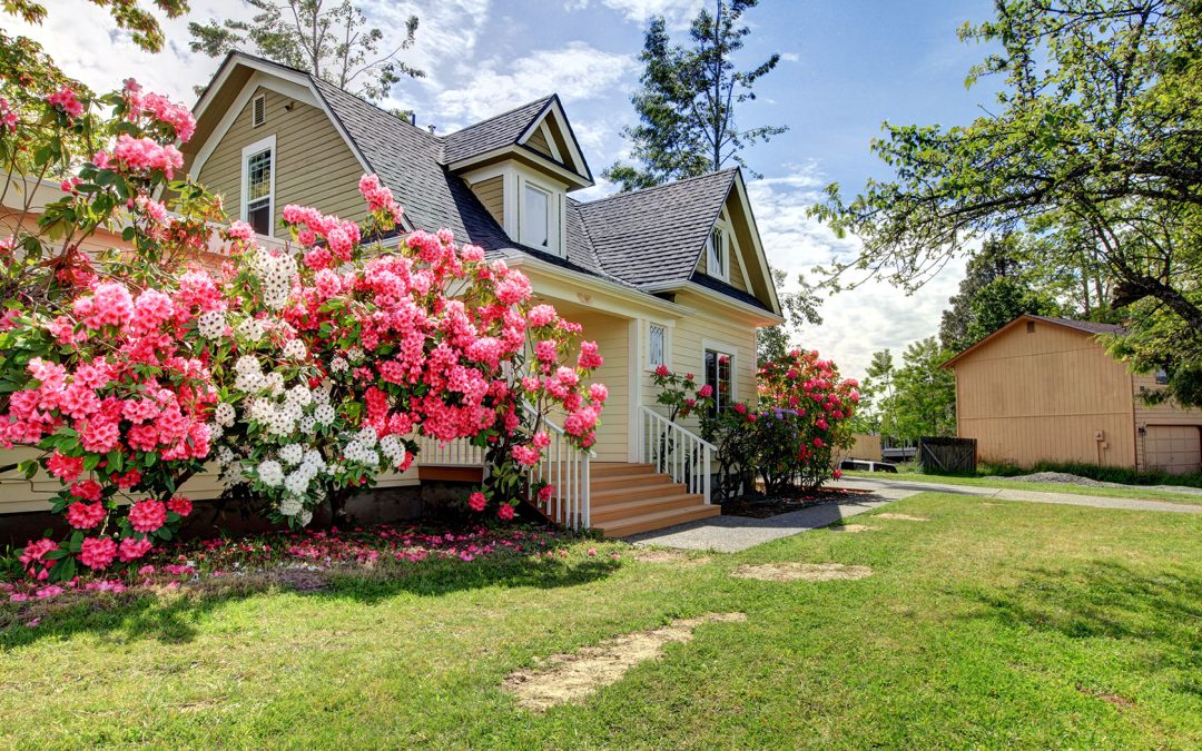 Beat the Heat: Cool Roof and Ventilation Strategies for Comfortable Homes