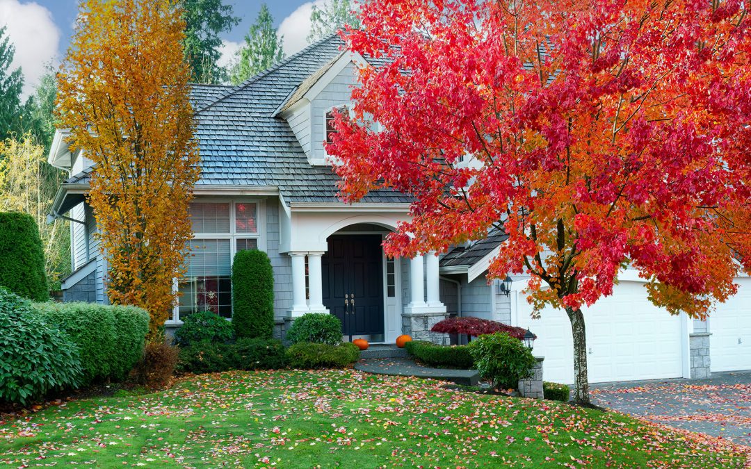 Fall Ready Exteriors: Roofing and Siding Prep Before the Rains Return