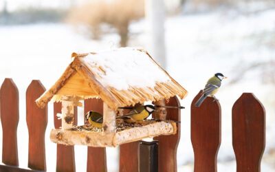 Winter Ahead: Ice Dam Prevention and Heat-Loss Control for Your Roof